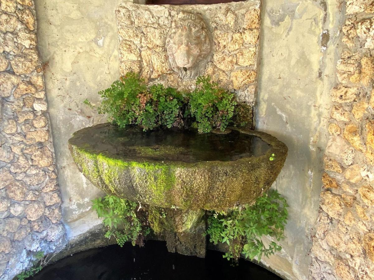 Locazione Turistica Villa Grassina-7 Pelago Esterno foto