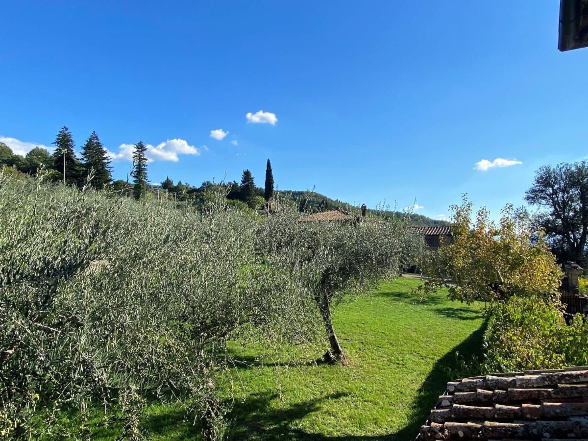 Locazione Turistica Villa Grassina-7 Pelago Esterno foto