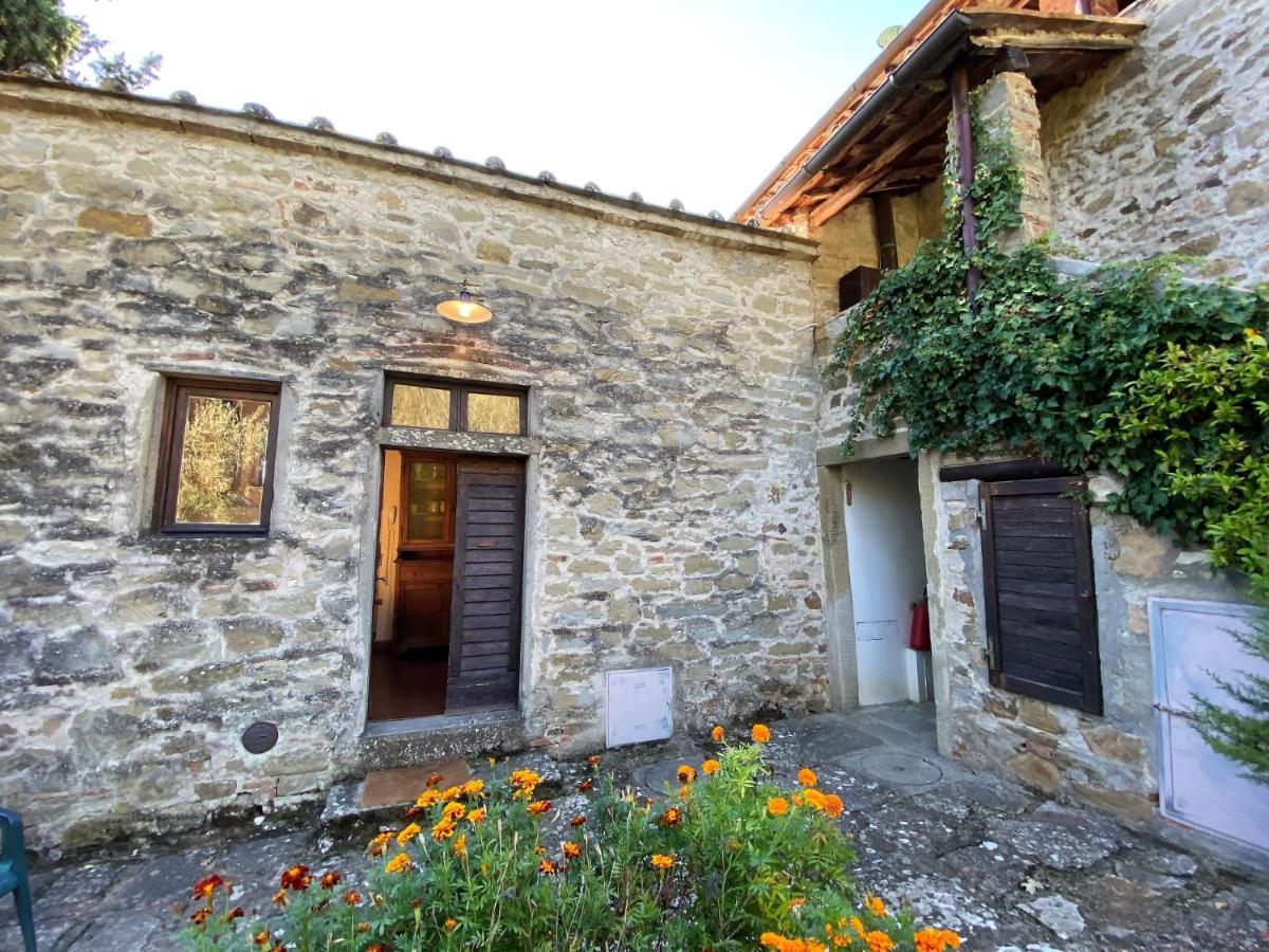 Locazione Turistica Villa Grassina-7 Pelago Esterno foto